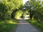 Wendalinus cycle track, ascension near Tholey. Since 1915, there has been a single track connection through the suburbs Bliesen and Oberthal to Tholey.