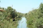 Nahal Taninim, the kibbutz is located 30 km south of Haifa and 70 km north of Tel Aviv and lies near the edge of the Mediterranean Sea west of Mount Carmel, south of bordering kibbutz Ma'ayan Zvi, and north of the Taninim Stream