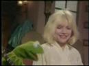 Debbie Harry & Kermit the Frog - The Rainbow Connection