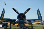 A fully restored Bear cat in Blue Angels colors; seen at EAA air venture 2011.The F8F prototypes were ordered in November 1943 and first flew on 21 August 1944, a mere nine months later.