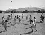 Japanese American women playing volleyball, Manzanar internment camp, California, ca. 1943.