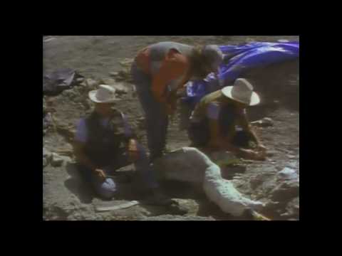 'Dinosaur!' with Walter Cronkite - The Tale of a Tooth - Part 1