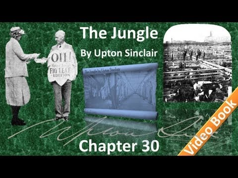 Chapter 30 - The Jungle by Upton Sinclair