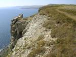 Limestone cliffs at St Alban's Head (corruption of St Aldhelms Head) is a headland located five kilometers southwest of Swanage, on the coast of Dorset, England.