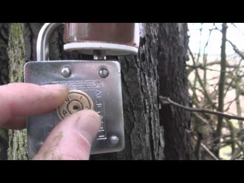 Weird Padlock Multicache