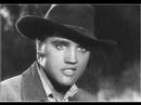 In the garden-Elvis Presley