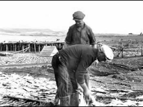 Newfoundland-Old Newfie Fisherman