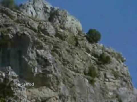 golden-eagle-drags-goats-off-cliff