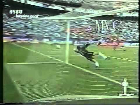 The Netherlands - Saudi Arabia 2 / 1 (World Cup 94: June / 20 / 1994)