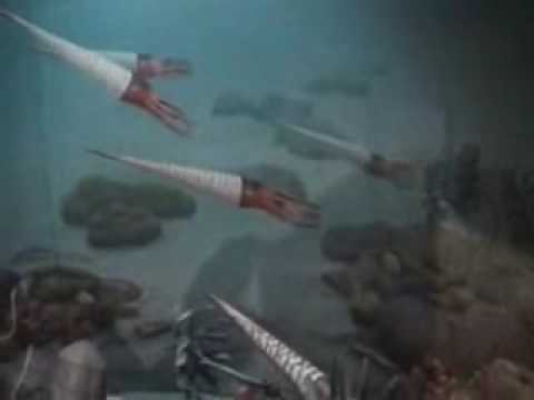 Ordovician Sea Life Diorama at Cincinnati Museum Center