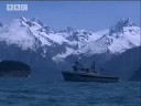 BBC Nature: Mega Tsunami - Alaskan Super Wave - Amazing Survival