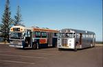 A Leyland Panther introduced in 1968, and an AEC Mk III Regal introduced in 1948