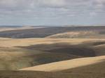 Extensive moorland in the Desert of Wales. Moorland or moor is a type of habitat, in the temperate grasslands, savannas, and shrublands biome, found in upland areas, characterised by low-growing vegetation on acidic soils and heavy fog.