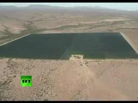 Biggest ever? Video of giant marijuana plantation in Mexico