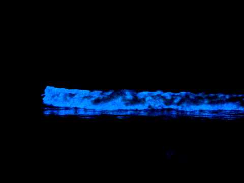 Red Tide Causes Bioluminescent Ocean