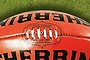 Sherrin football