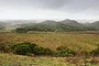 About 70 cars were turned away from Tower Hill Reserve near Warrnambool yesterday.