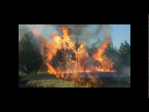 Texas Wildfires 2011(Worst in TX history)