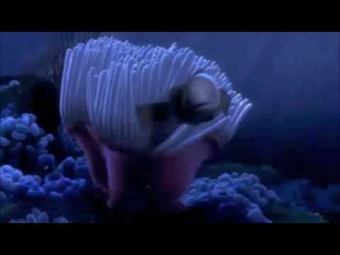 Finding Nemo - Nemo Egg Scene