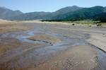 The intermittent Medano Creek. The park also contains alpine lakes and tundra, six peaks over 13,000 feet (3,940 m) in elevation, ancient spruce and pine forests, large stands of aspen and cottonwood, grasslands, and wetlands — all habitat for diverse wildlife and plant species.