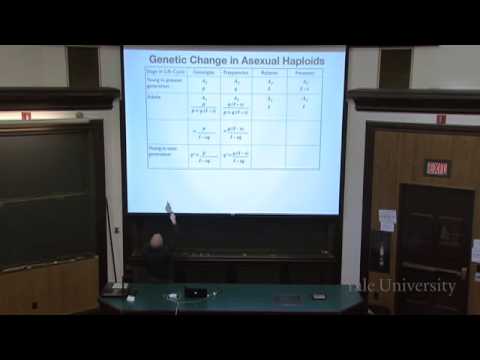 5. How Selection Changes the Genetic Composition of Population