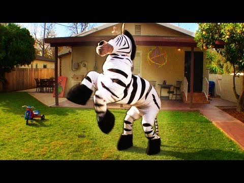 Dope Zebra - Rhett & Link