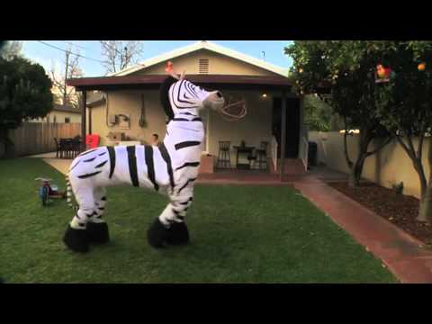 Dope Zebra (LMFAO-Everyday Im Shuffling)