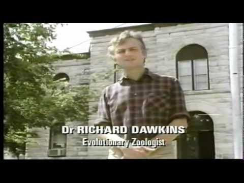 The Blind Watchmaker, by Richard Dawkins (High Quality)