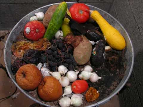 Fruit and Vegetable Decomposition, Time-lapse