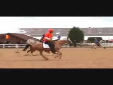 Mounted Games World Individuals 2008 Open Final( Tribute to the best horse I ve ever had)