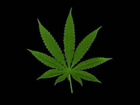 Micheal Franti & Spearhead - Ganja Babe