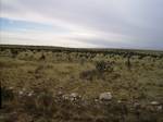 Countryside in Eddy County, 10 miles (16 km) west of Hope. Within the Myst and Uru series of computer games, Eddy County is the fictional location of The Cleft, a fissure near a dormant volcano leading down to the large D'ni Cavern