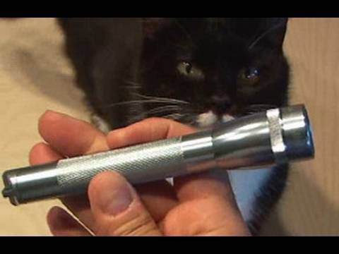 Amazing Lasers! - Laser Flashlight Hack!