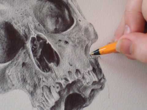 Stop Motion Drawing 2: Sugar Skull by Paul Alexander Thornton