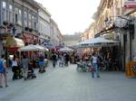 Dunavska shopping street. Novi Sad is the economic center of Vojvodina, the most fertile agricultural region in Serbia. The city also is one of the largest economic and cultural centers in Serbia and former Yugoslavia.