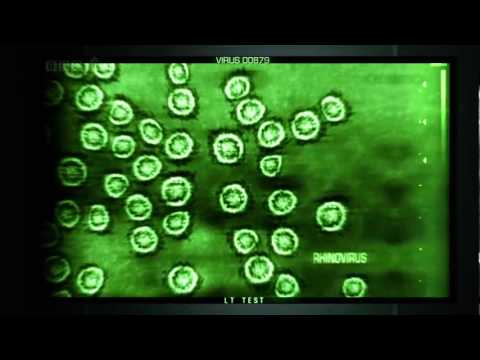 BBC Horizon Why do viruses kill 1