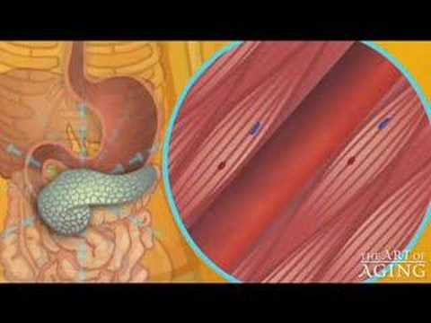 Glucose animation