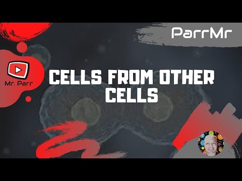 Cells From Other Cells Song