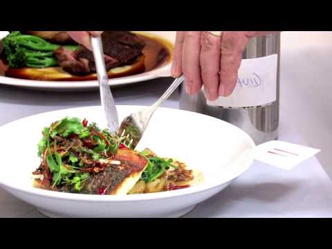 Signature Dish 2009 - focusTV