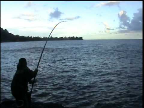 First Ulua 104.4 lbs Kauai