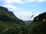 A bird show in Palmitos Park. Palmitos Park is a 20-hectare (49-acre) botanical garden and aviary on the island of Gran Canaria, one of the Canary islands, which are a part of Spain.