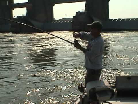 Tristate Outdoors - Ohio River Blue Catfish