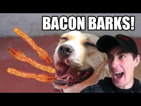 BACON BARKS! - DANEBOEVLOGS