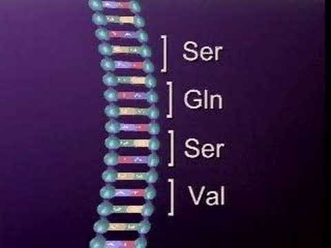 DNA MUTATION