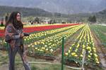 Prominent businessman Anil Ambani (NOT IN PICTURE) along with his wife, Tina Ambani, famed Bollywood actress of the yesteryears during their visit Asia's largest tulip garden at the foot of the Zabarwan hills, overlooking the famous Dal Lake in Srinagar on Thursday 05, April 2012