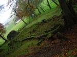 Backhill Farm ruins from Loudoun Hill, Loudoun Hill and the lands immediately around were farmed intensively for many generations, as shown by OS maps.