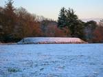 The Chapel Hill from near Chapeltoun Mains. Alternative local names for the burial mound are the 'Jockey's cap' and the 'Monk's Graveyard', the 1897 OS map states that human bones were found in the hill