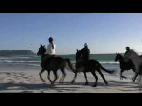 Noordhoek Horse Rides - Cape Peninsula, South Africa