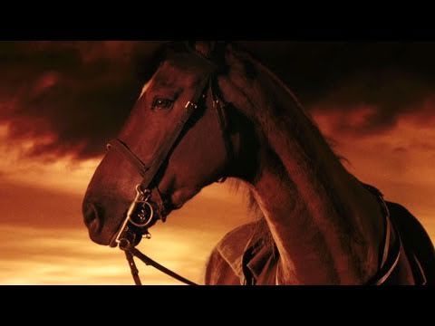 'War Horse' Trailer HD