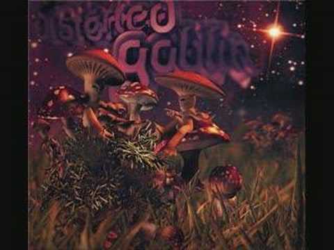 Distorted Goblin - Magnetic Flux